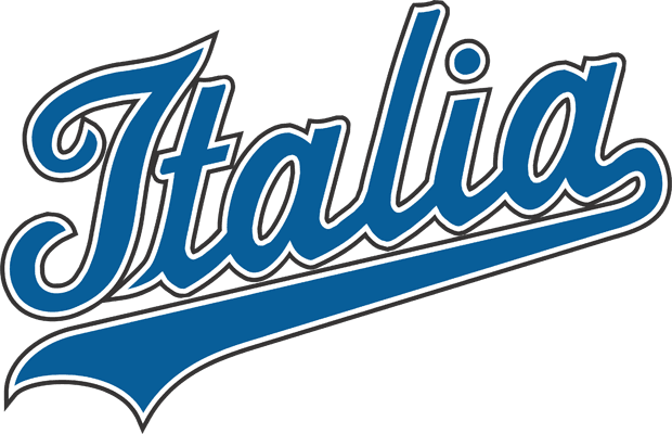 Italy 2006-Pres Primary Logo iron on transfers for clothing